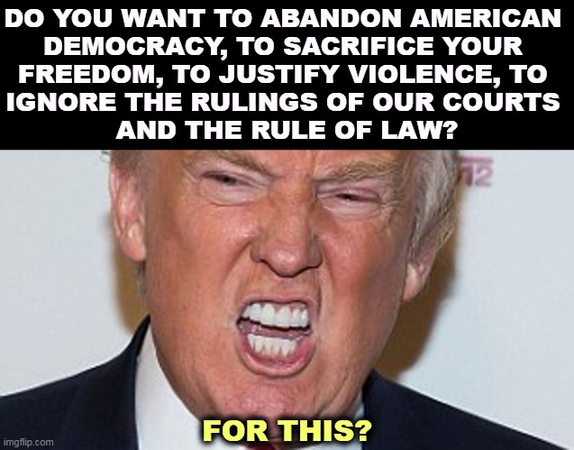 DO YOU WANT TO ABANDON AMERICAN 
DEMOCRACY, TO SACRIFICE YOUR 
FREEDOM, TO JUSTIFY VIOLENCE, TO 
IGNORE THE RULINGS OF OUR COURTS 
AND THE RULE OF LAW? FOR THIS? | image tagged in trump,enemy,democracy,freedom,violence,law | made w/ Imgflip meme maker