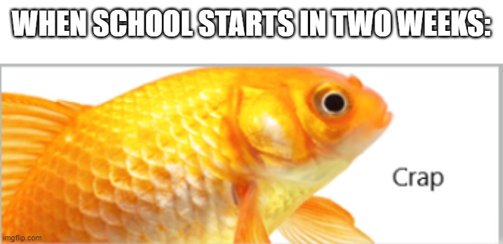 Really gonna happen | WHEN SCHOOL STARTS IN TWO WEEKS: | image tagged in fish crap | made w/ Imgflip meme maker