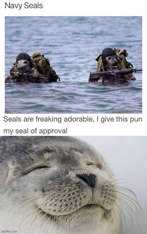 image tagged in memes,satisfied seal,eye roll | made w/ Imgflip meme maker