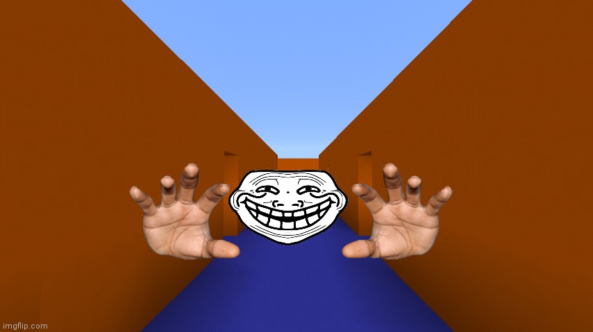 RUN | image tagged in minecraft door chase,trollface,troll face | made w/ Imgflip meme maker