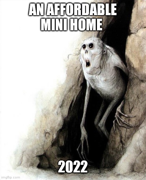 cave meme | AN AFFORDABLE MINI HOME; 2022 | image tagged in cave meme | made w/ Imgflip meme maker