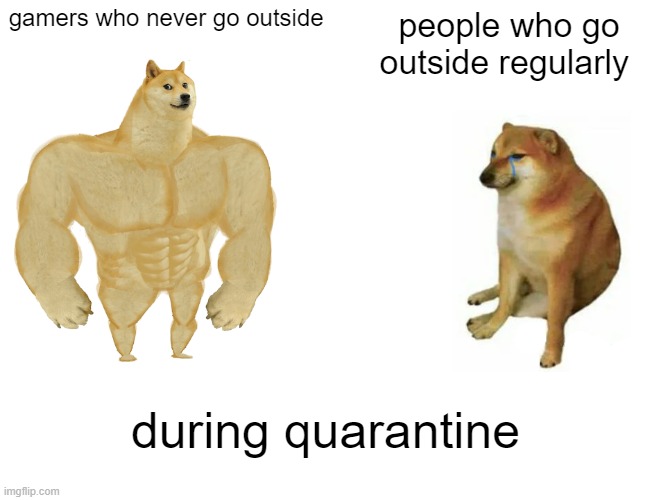 can relate | gamers who never go outside; people who go outside regularly; during quarantine | image tagged in memes,buff doge vs cheems | made w/ Imgflip meme maker