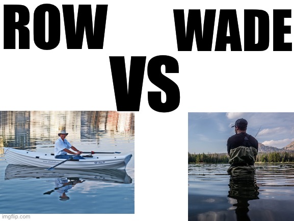 Big brain meme | ROW; WADE; VS | image tagged in blank white template | made w/ Imgflip meme maker