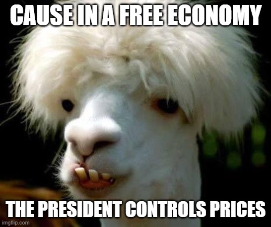 Dumbass | CAUSE IN A FREE ECONOMY THE PRESIDENT CONTROLS PRICES | image tagged in dumbass | made w/ Imgflip meme maker