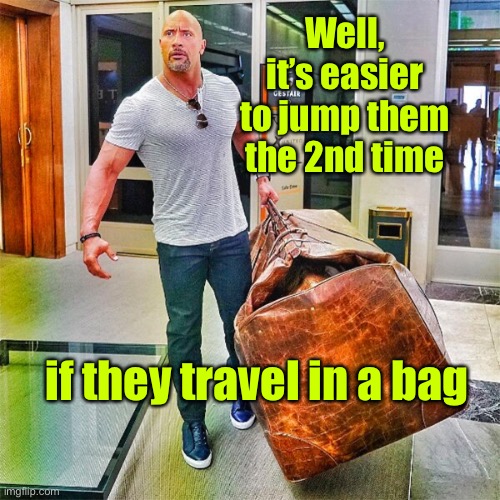 The Rock Carrying Giant Bag | Well, it’s easier to jump them the 2nd time if they travel in a bag | image tagged in the rock carrying giant bag | made w/ Imgflip meme maker