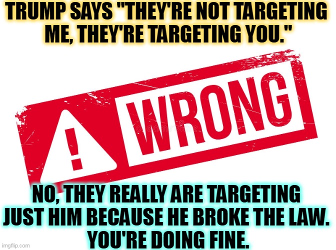 TRUMP SAYS "THEY'RE NOT TARGETING 
ME, THEY'RE TARGETING YOU."; NO, THEY REALLY ARE TARGETING 
JUST HIM BECAUSE HE BROKE THE LAW. 
YOU'RE DOING FINE. | image tagged in trump,criminal,liar,laws | made w/ Imgflip meme maker