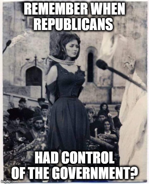 She is a witch, burn her! | REMEMBER WHEN REPUBLICANS; HAD CONTROL OF THE GOVERNMENT? | image tagged in witch burned at the stake,maga,scumbag,republican,treason | made w/ Imgflip meme maker