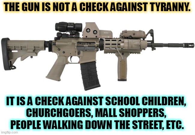 It's a single purpose weapon, and that purpose is not squirrel hunting. | THE GUN IS NOT A CHECK AGAINST TYRANNY. IT IS A CHECK AGAINST SCHOOL CHILDREN, 
CHURCHGOERS, MALL SHOPPERS, 
PEOPLE WALKING DOWN THE STREET, ETC. | image tagged in ar15,guns,assault weapons,insane,school,children | made w/ Imgflip meme maker