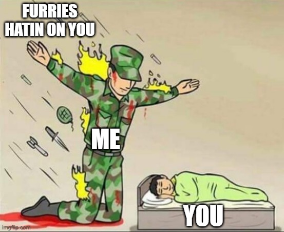 Soldier protecting sleeping child | FURRIES HATIN ON YOU ME YOU | image tagged in soldier protecting sleeping child | made w/ Imgflip meme maker