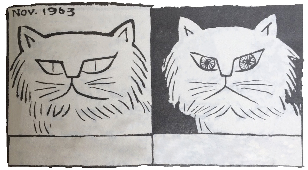 Hypocrite Cat Blank Meme Template