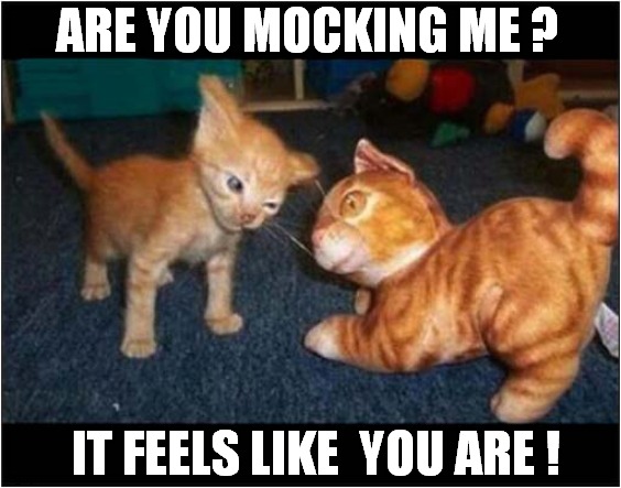 Suspicious Kitten ! | ARE YOU MOCKING ME ? IT FEELS LIKE  YOU ARE ! | image tagged in cats,suspicious,kitten,mocking,toy | made w/ Imgflip meme maker