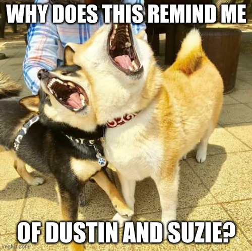 Singing doggos | WHY DOES THIS REMIND ME; OF DUSTIN AND SUZIE? | image tagged in singing doggos | made w/ Imgflip meme maker