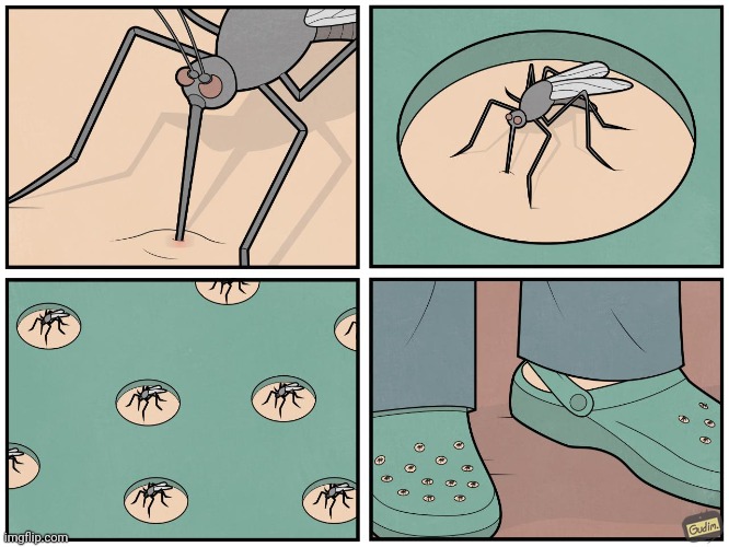 Mosquitoes | image tagged in mosquitoes,mosquito,comics,comics/cartoons,comic,crocs | made w/ Imgflip meme maker