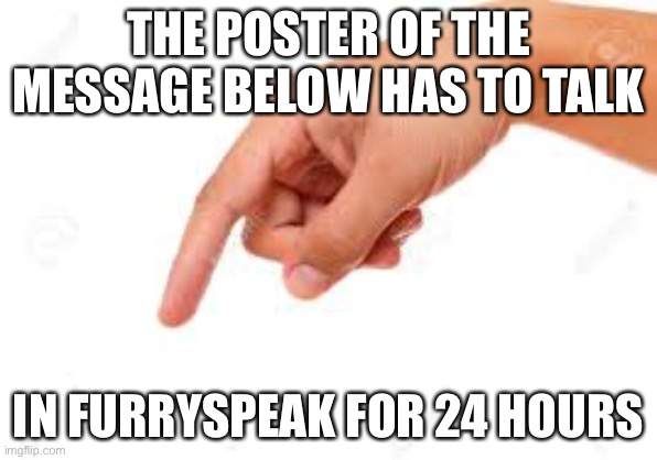 the person below | THE POSTER OF THE MESSAGE BELOW HAS TO TALK; IN FURRYSPEAK FOR 24 HOURS | image tagged in the person below | made w/ Imgflip meme maker