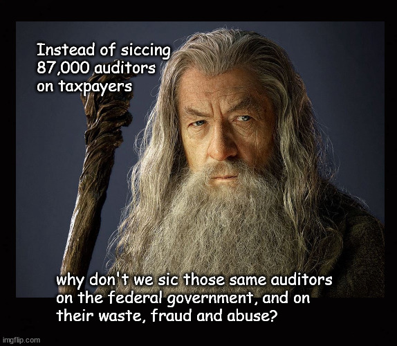 Instead of siccing 87,000 auditors  on taxpayers ... | Instead of siccing
87,000 auditors 
on taxpayers; why don't we sic those same auditors
on the federal government, and on 
their waste, fraud and abuse? | image tagged in federal government,waste fraud and abuse | made w/ Imgflip meme maker