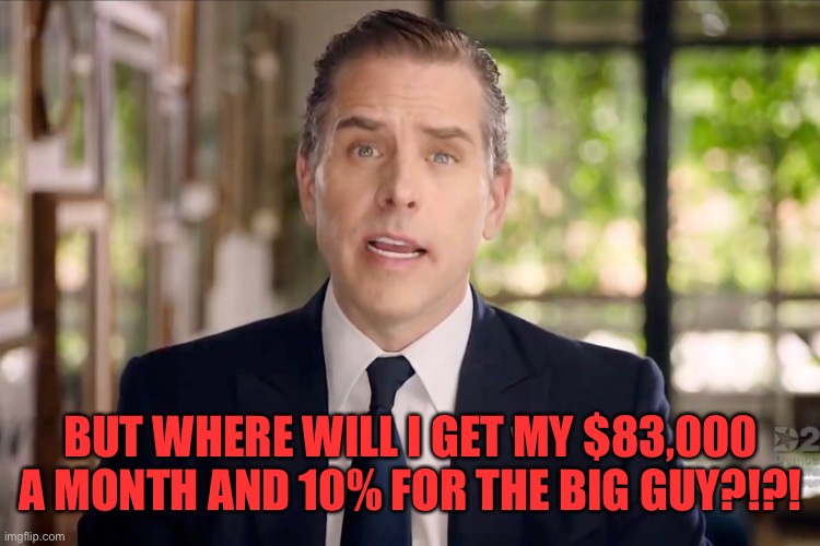 Hunter Biden | BUT WHERE WILL I GET MY $83,000 A MONTH AND 10% FOR THE BIG GUY?!?! | image tagged in hunter biden | made w/ Imgflip meme maker