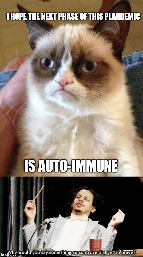 In 6 months to 3 years from now I'll be reposting this just to say I told you so.... | I HOPE THE NEXT PHASE OF THIS PLANDEMIC; IS AUTO-IMMUNE | image tagged in memes,grumpy cat,why would you say something so controversial yet so brave | made w/ Imgflip meme maker