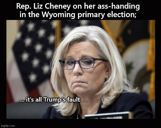 Why Liz Cheney lost ... | Rep. Liz Cheney on her ass-handing 
in the Wyoming primary election;; ... it's all Trump's fault | image tagged in liz cheney,trump | made w/ Imgflip meme maker