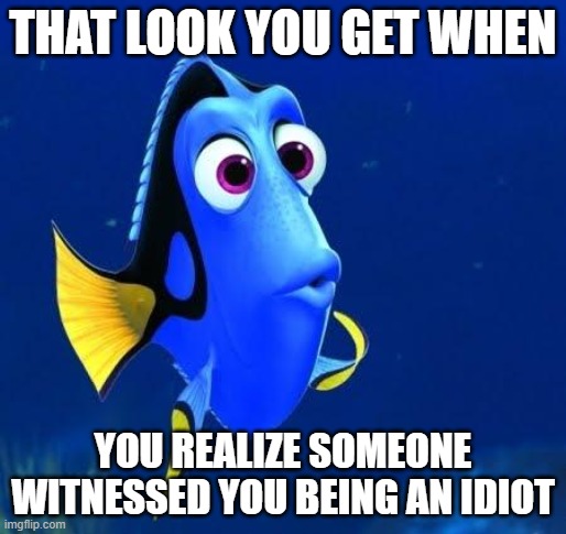 I'm an idiot | THAT LOOK YOU GET WHEN; YOU REALIZE SOMEONE WITNESSED YOU BEING AN IDIOT | image tagged in dory,idiot | made w/ Imgflip meme maker