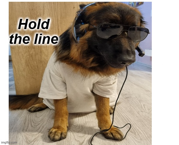 Hold the line |  Hold the line | image tagged in phone call,dog,german shepherd,meeting,call,call center | made w/ Imgflip meme maker