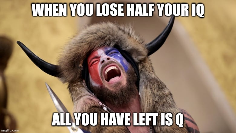 WHEN YOU LOSE HALF YOUR IQ; ALL YOU HAVE LEFT IS Q | made w/ Imgflip meme maker