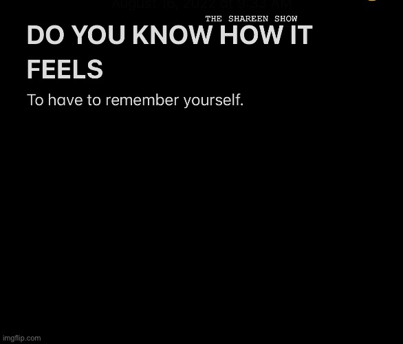 How it feels |  THE SHAREEN SHOW | image tagged in mental health,emotions,google images,traumaquotes,psycology,wellness | made w/ Imgflip meme maker