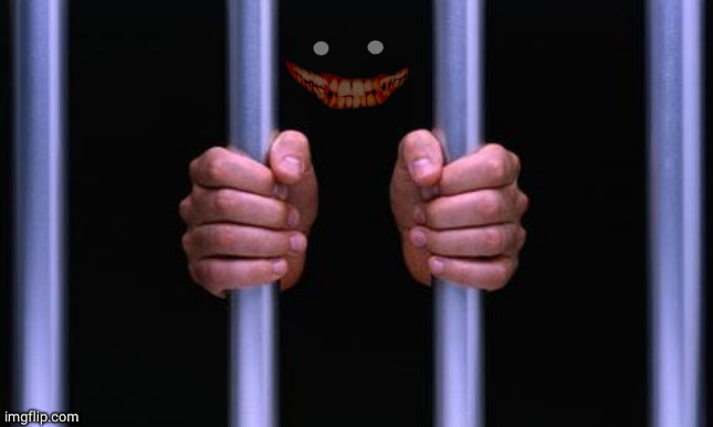 Prison Bars | image tagged in prison bars | made w/ Imgflip meme maker