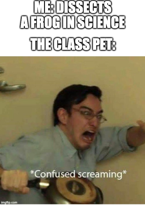 Not sure if this meme has been done before but uh yeah clever title |  ME: DISSECTS A FROG IN SCIENCE; THE CLASS PET: | image tagged in confused screaming,frog,dissecting frogs,class pet,science | made w/ Imgflip meme maker