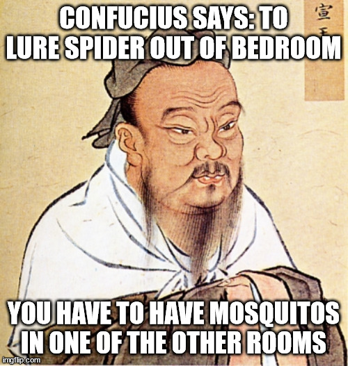 Confucius Says | CONFUCIUS SAYS: TO LURE SPIDER OUT OF BEDROOM YOU HAVE TO HAVE MOSQUITOS IN ONE OF THE OTHER ROOMS | image tagged in confucius says | made w/ Imgflip meme maker