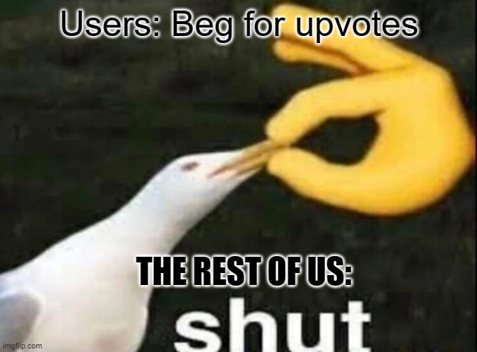 No Upvote Begging |  Users: Beg for upvotes; THE REST OF US: | image tagged in shut,upvote begging,fishing for upvotes | made w/ Imgflip meme maker