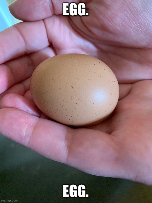 Egg from chickens | EGG. EGG. | made w/ Imgflip meme maker