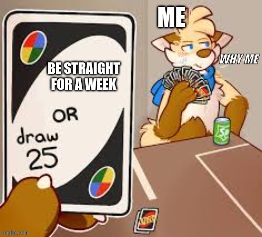 what the f why | image tagged in gay,furry | made w/ Imgflip meme maker