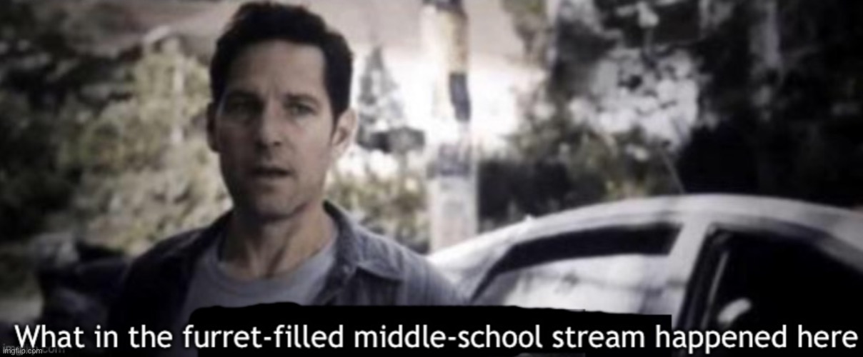 *more ptsd* | image tagged in what in the furret-filled middle-school stream happened here | made w/ Imgflip meme maker