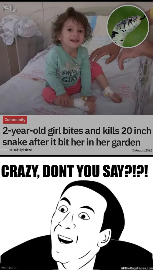CRAZY GIRL |  CRAZY, DONT YOU SAY?!?! | image tagged in you dont say | made w/ Imgflip meme maker
