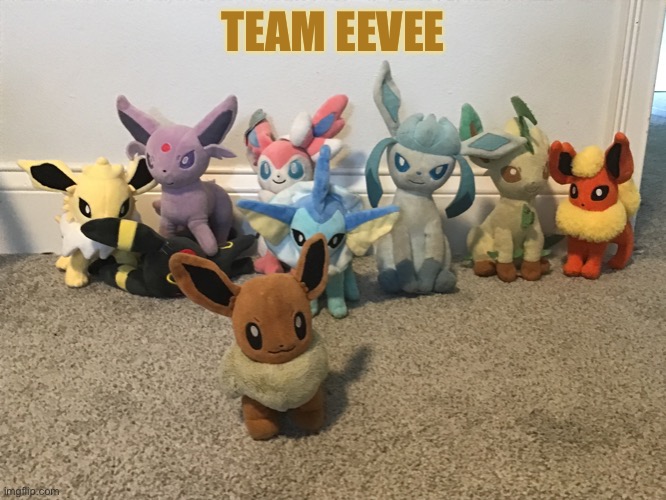 Umbreon is getting beaten up by Jolteon & Espeon XD | TEAM EEVEE | image tagged in pokemon,plushie,rare | made w/ Imgflip meme maker