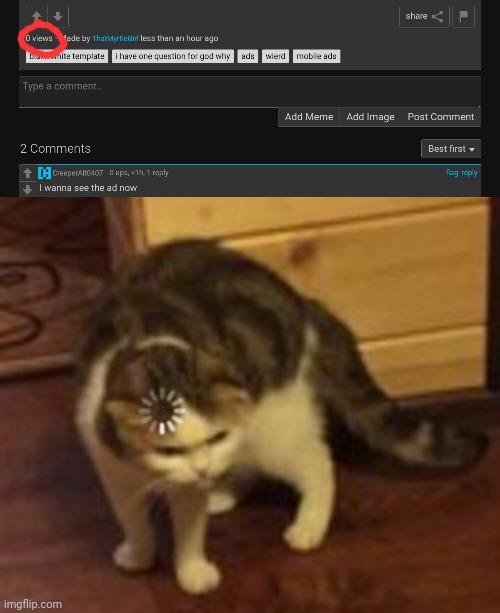 You get it? | image tagged in loading cat,confused | made w/ Imgflip meme maker