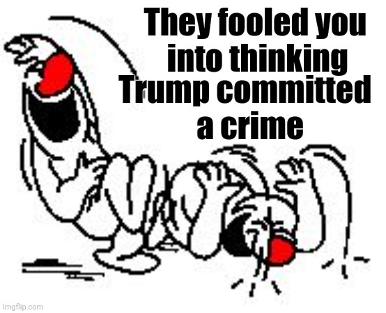 LOL Hysterically | They fooled you  
into thinking Trump committed  
a crime | image tagged in lol hysterically | made w/ Imgflip meme maker