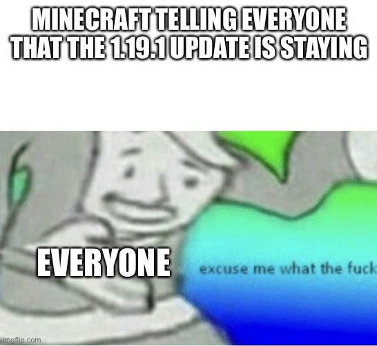 What now you said what! | MINECRAFT TELLING EVERYONE THAT THE 1.19.1 UPDATE IS STAYING; EVERYONE | image tagged in excuse me wtf blank template | made w/ Imgflip meme maker