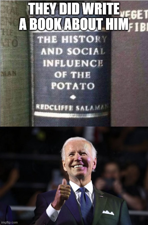 JoePotato | THEY DID WRITE A BOOK ABOUT HIM | image tagged in mr potato head | made w/ Imgflip meme maker