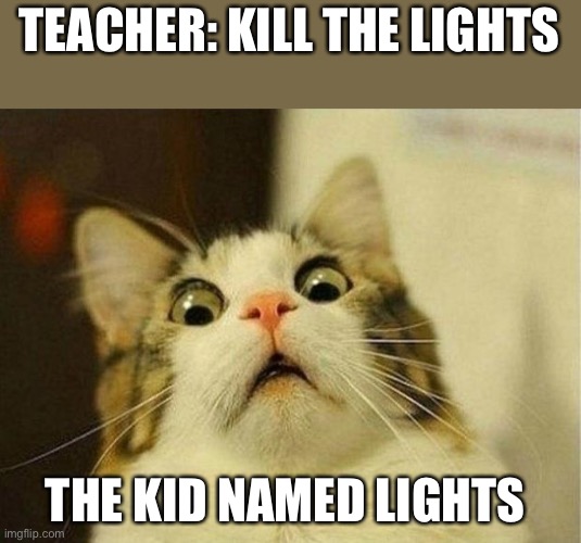 Scared Cat Meme | TEACHER: KILL THE LIGHTS; THE KID NAMED LIGHTS | image tagged in memes,scared cat | made w/ Imgflip meme maker