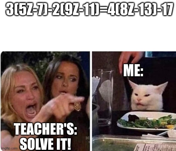 Me: | 3(5Z-7)-2(9Z-11)=4(8Z-13)-17; ME:; TEACHER'S:
SOLVE IT! | image tagged in lady screams at cat,cat | made w/ Imgflip meme maker