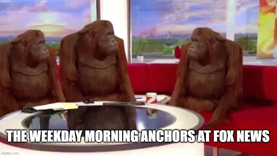 Fox News Anchors | THE WEEKDAY MORNING ANCHORS AT FOX NEWS | image tagged in where monkey | made w/ Imgflip meme maker
