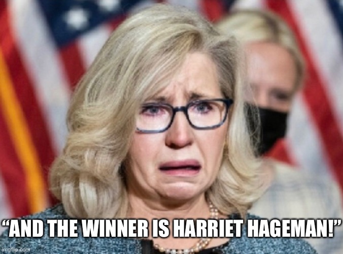 Now, go home to your disgusting father, Lynne! | “AND THE WINNER IS HARRIET HAGEMAN!” | image tagged in dick cheney,primary,republican party,rino,never trump,finished | made w/ Imgflip meme maker