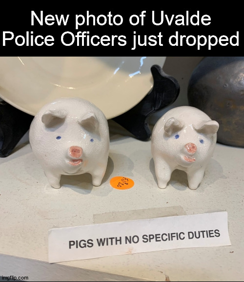 pigs with no specific duties | New photo of Uvalde Police Officers just dropped | image tagged in pigs with no specific duties,police,uvalde,pigs | made w/ Imgflip meme maker