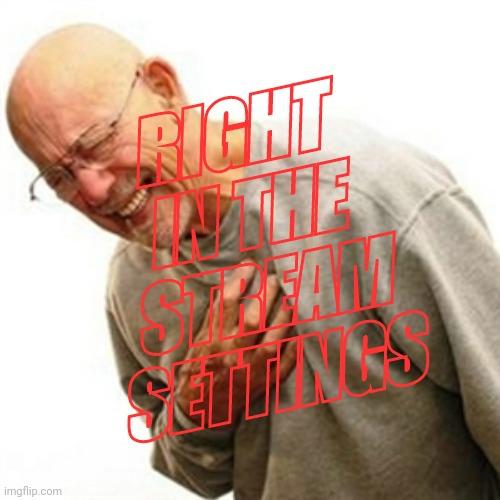 Right In The Childhood Meme | RIGHT IN THE STREAM SETTINGS | image tagged in memes,right in the childhood | made w/ Imgflip meme maker