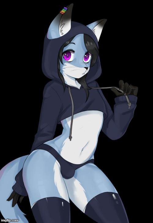 By Felixlox | image tagged in furry,femboy,cute,adorable,hoodie | made w/ Imgflip meme maker