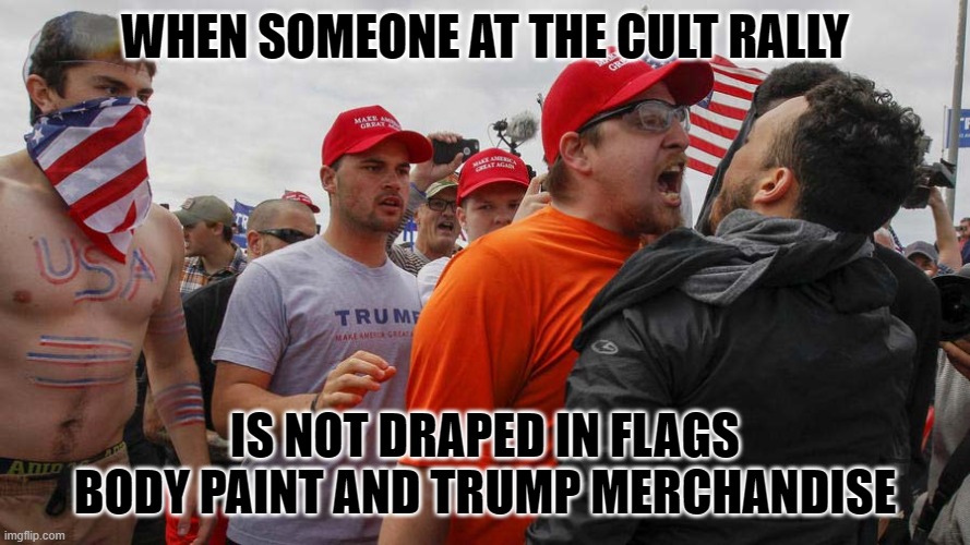 Angry Red Cap | WHEN SOMEONE AT THE CULT RALLY; IS NOT DRAPED IN FLAGS BODY PAINT AND TRUMP MERCHANDISE | image tagged in angry red cap,lunatic trump ciltists,political meme | made w/ Imgflip meme maker
