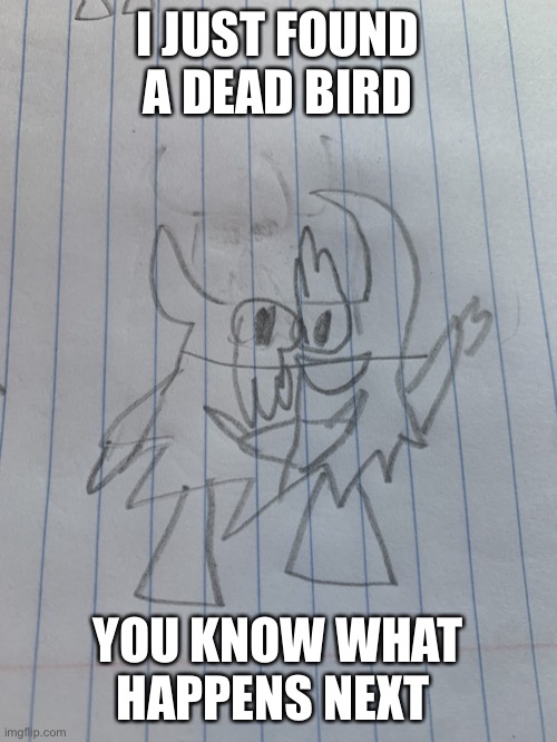 Small shadronia | I JUST FOUND A DEAD BIRD; YOU KNOW WHAT HAPPENS NEXT | image tagged in small shadronia | made w/ Imgflip meme maker