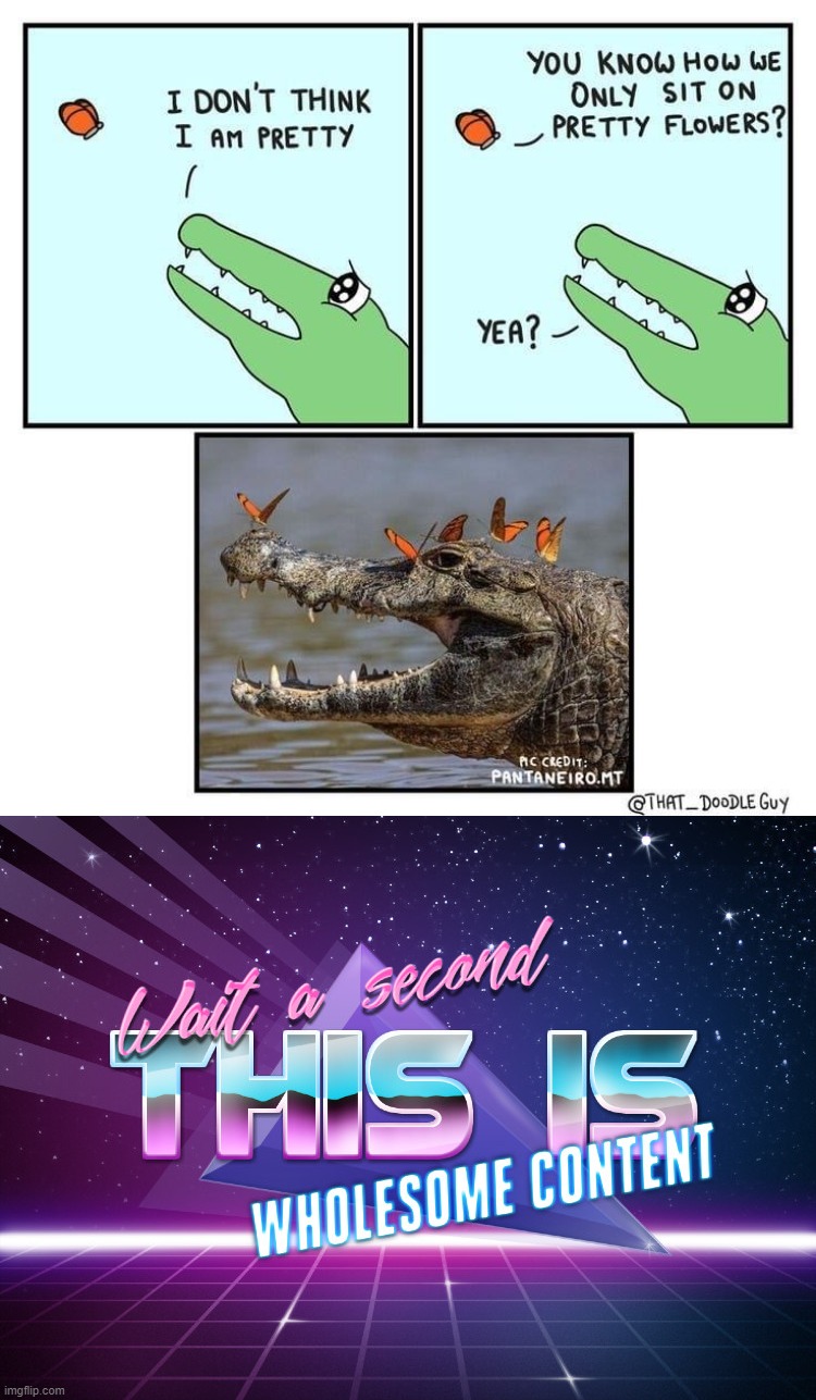 image tagged in wholesome crocodile comic,wait a second this is wholesome content | made w/ Imgflip meme maker