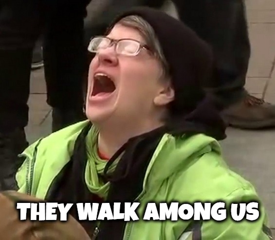 They walk among us, they breed, and they VOTE! | THEY WALK AMONG US | image tagged in idiots,sjw triggered,millennials,stupid liberals,special kind of stupid,special snowflake | made w/ Imgflip meme maker